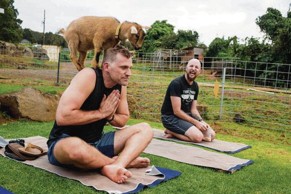 Hawaii’s Backyard: Animals help reduce stress at Maui Goat Yoga