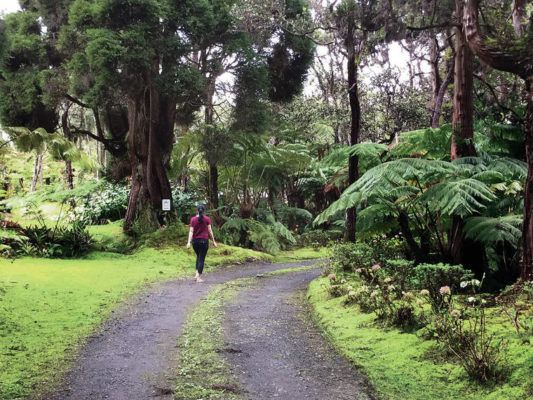 Hawaii’s Backyard: Big Island bed-and-breakfast recalls the history of Hale ‘Ohu