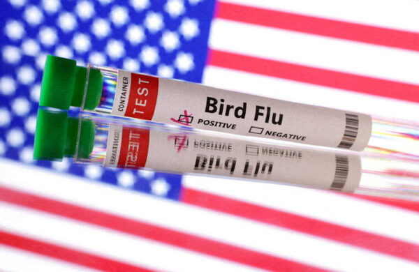 U.S. suffers 1st severe human case of bird flu; California declares emergency