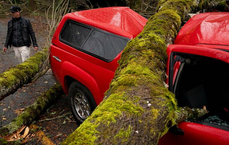 REUTERS/DAVID RYDER
                                A fallen tree sits atop a fire department vehicle after a powerful storm hit the Pacific Northwest and western Canada, Wednesday, causing power outages in Washington, Oregon, California and British Columbia while wreaking havoc on road travel, in Seattle, Wash.