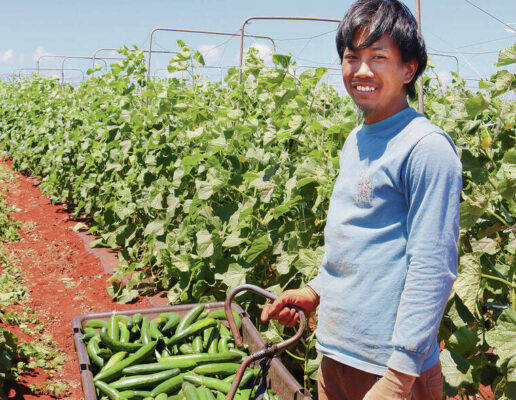 Leaders to meet at Hawai‘i Agriculture Conference